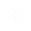 bed bug free icon